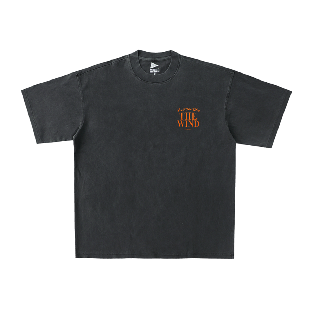 THE WIND 印花T